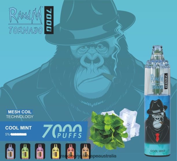 RandM Tornado 7000 Airflow Control Vape Device 1Pc Cool Mint - RandM tornado Australia JF22R164